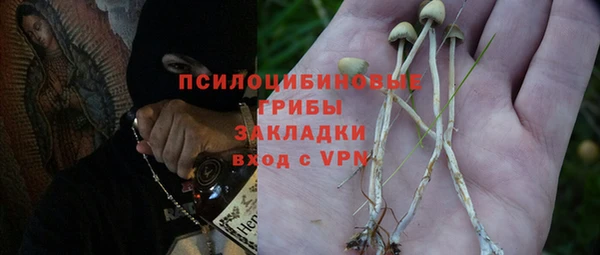амф Осинники