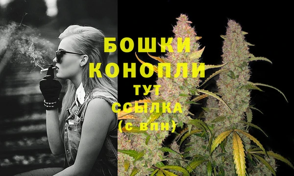ALPHA PVP Осташков