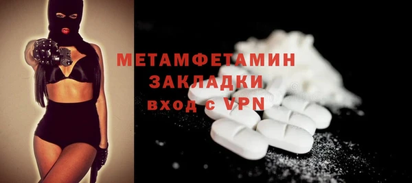 хмурый Пересвет