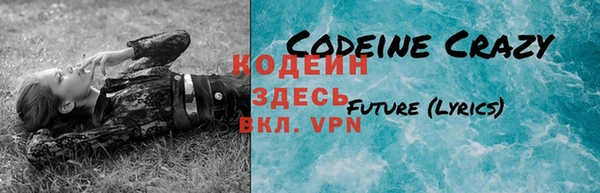 амф Осинники