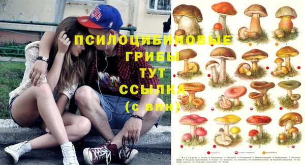 a pvp Остров
