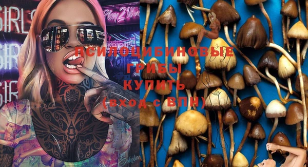 амф Осинники